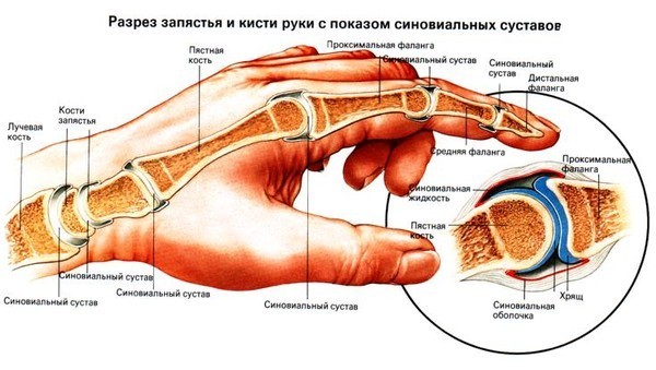 увеличен сустав указательного пальца увеличен сустав указательного пальца