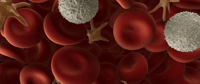 повышен лимфоцит в крови