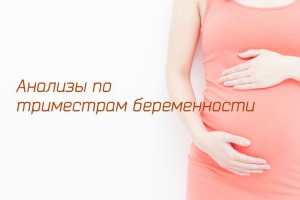 Анализы по триместрам беременности