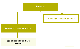 риниты как проявления аллергии