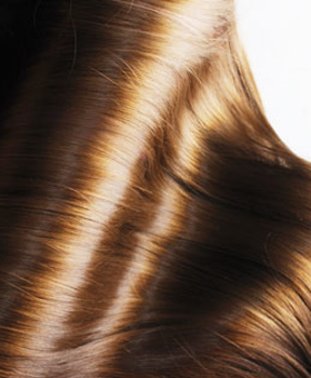 brunette long healthy female hair