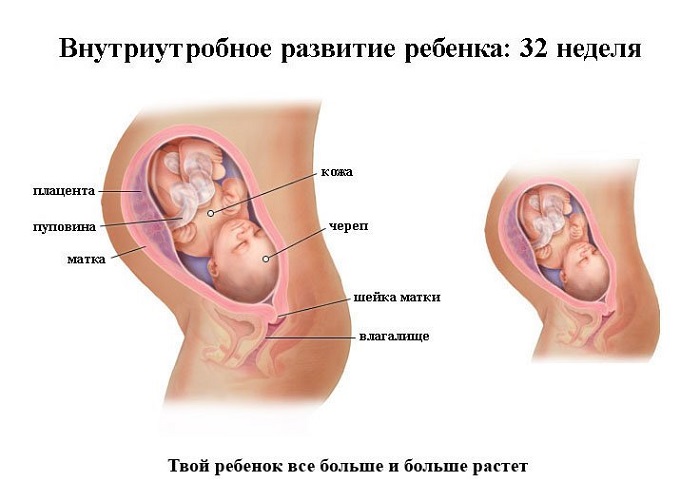Развитие плода на 32 неделе беременности